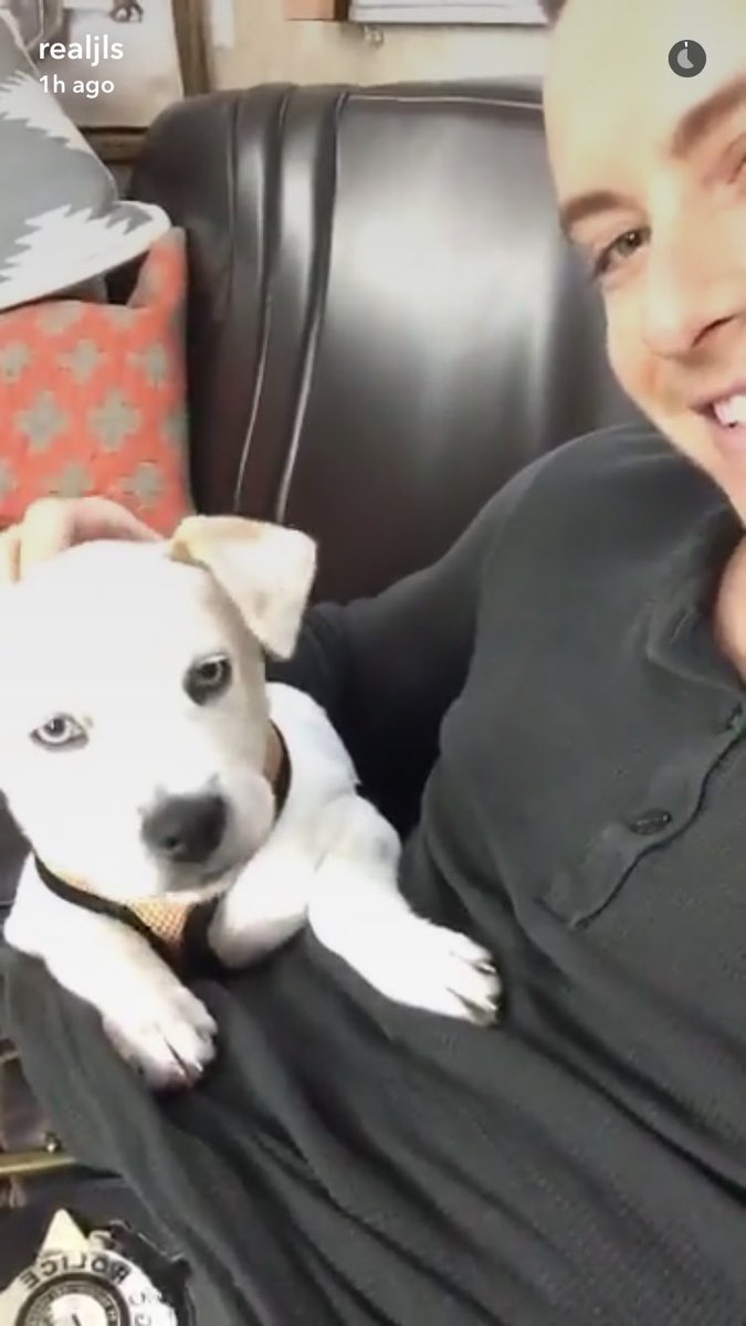 UKChicagoFire's tweet image. Okay I'm in love with these 😍😍🐶🐶 #CuteDog #HotGuy 😂😂 (Credit to @SophiaBush &amp;amp; @jesseleesoffer Snapchat)