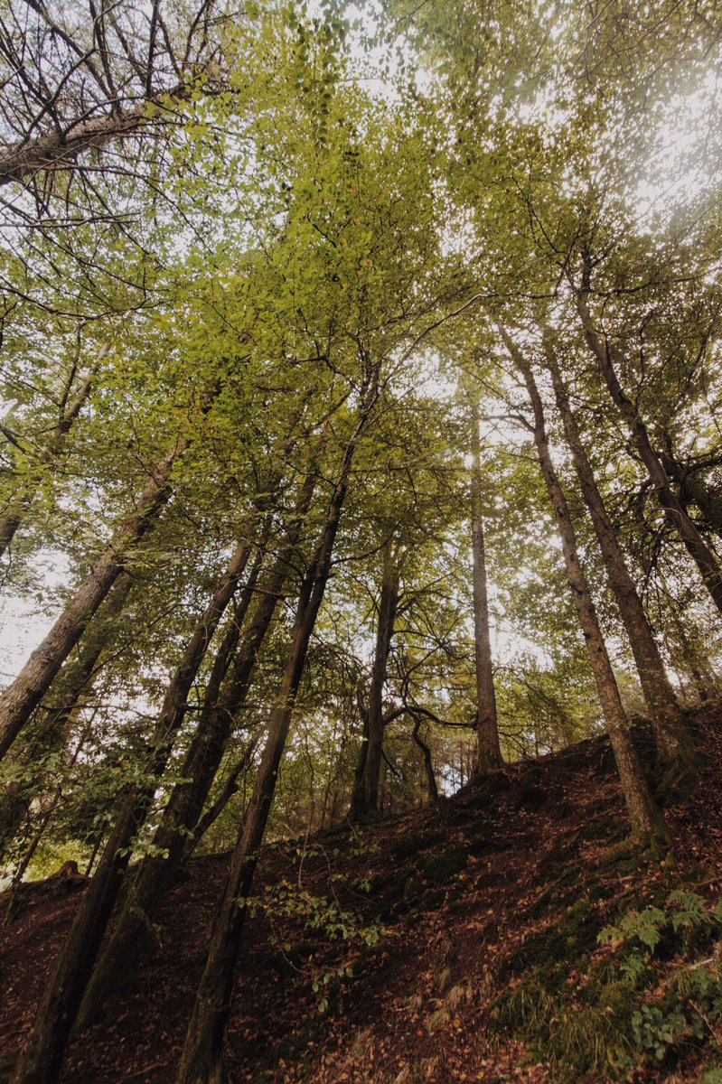Exploring in the Brecon Beacons today #Wales #breconbeacons #ttot realwalestours.com/breconbeacons