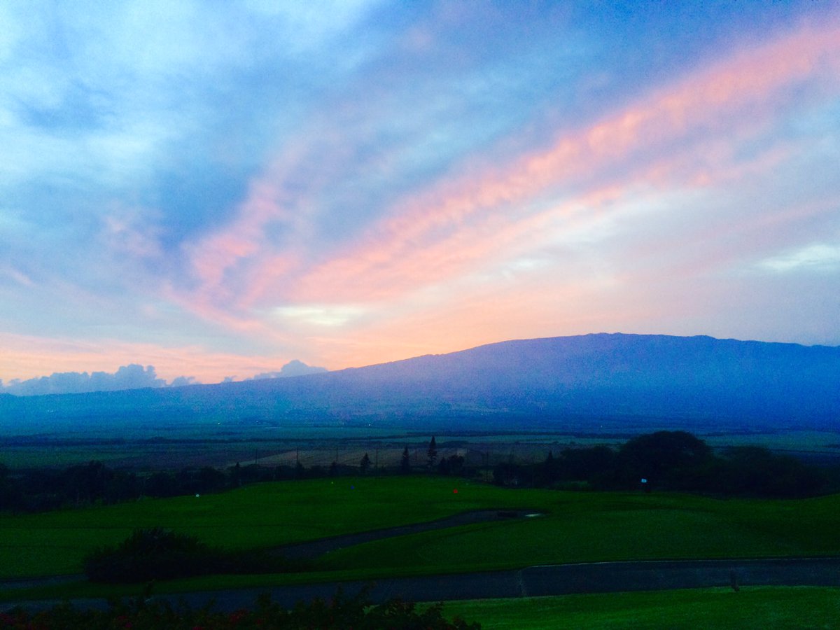 King Kamehameha GC tweet media