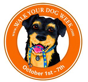 DtownPetCare's tweet image. The rain stopped, so time for a nice walk with your pup to celebrate National Walk Your Dog Week! #doylestown #buckscounty #exercisefordogs