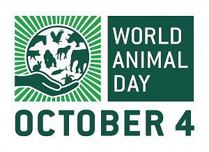 It's your #pets day. Giv 'em some treats today! #BeKindToAnimalsDay #WAD2016