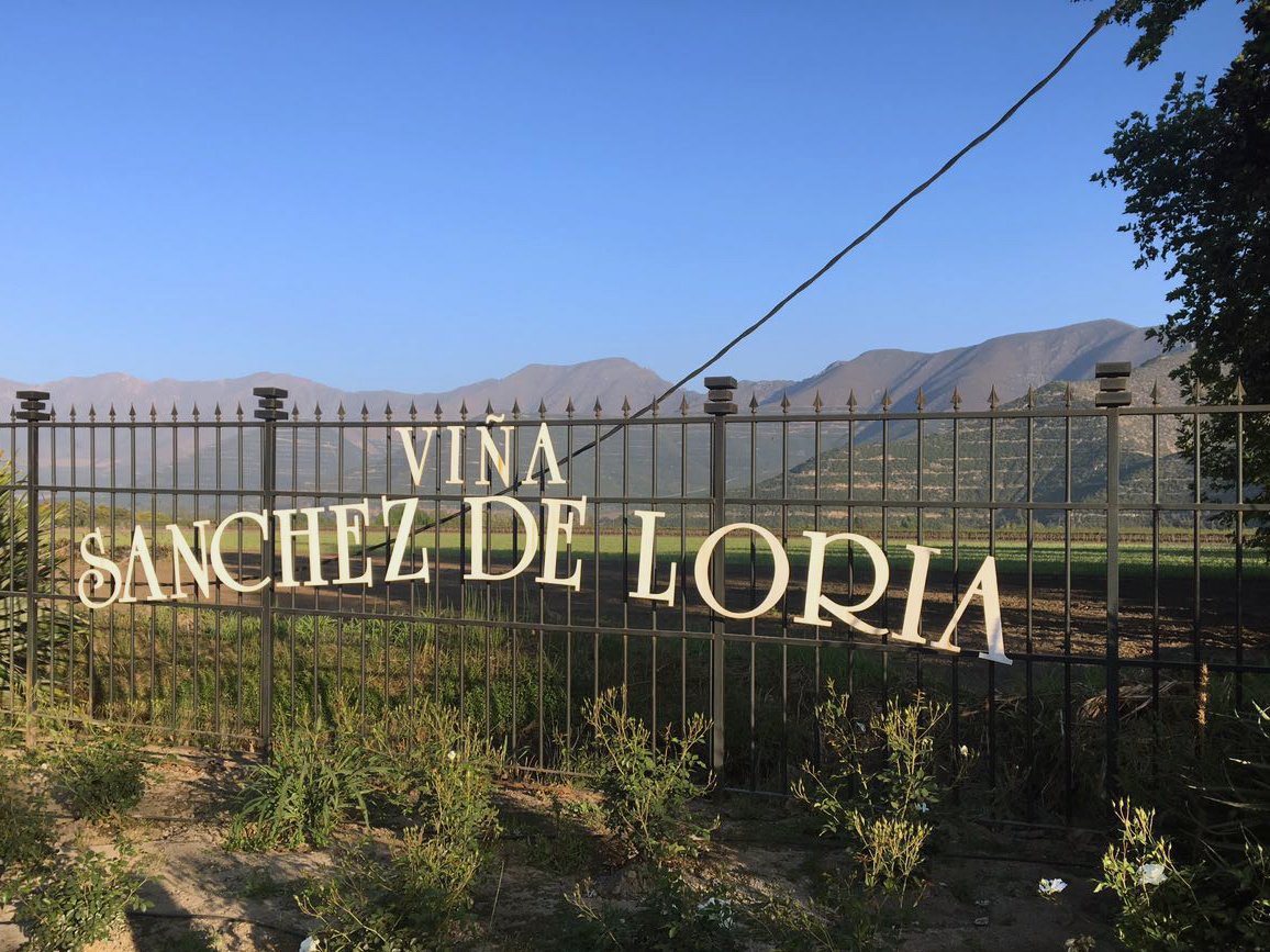 BoutiqueWT's tweet photo. Recorriendo Viña #SanchezdeLoria, de la familia del español José Teodoro Sánchez de Loria, quien llegó a Chile en 1785. #Enoturismo #Chile https://t.co/RaDZwDrL4u