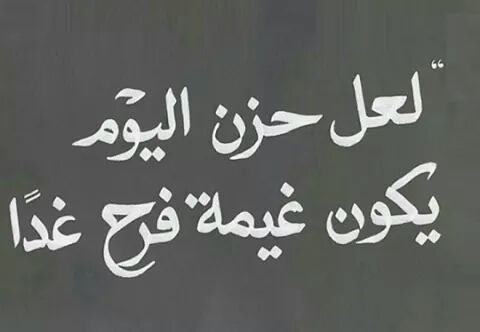 Mostafa1983Ms tweet picture