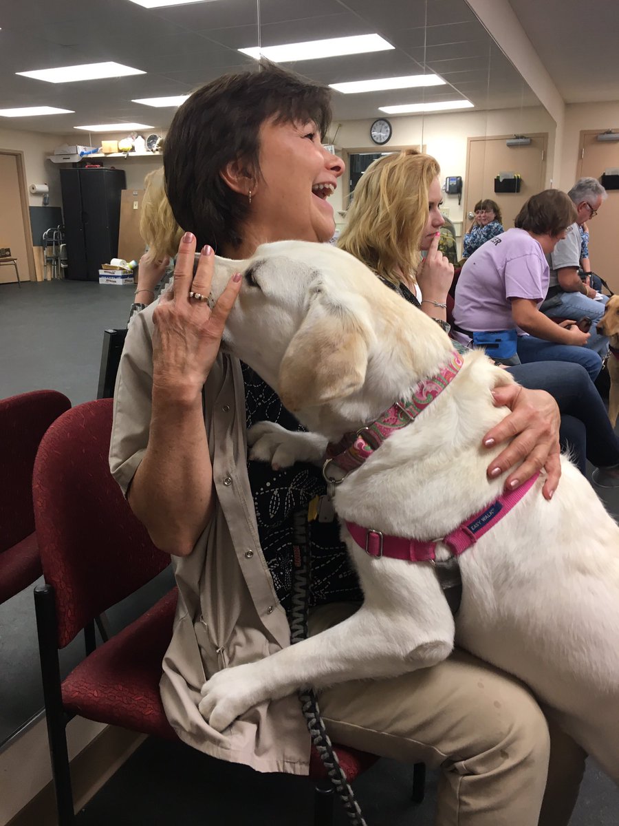 WESpolarbears's tweet photo. Aspen learns the "snuggle" command at #udservicedogs class https://t.co/xoE3azudSp