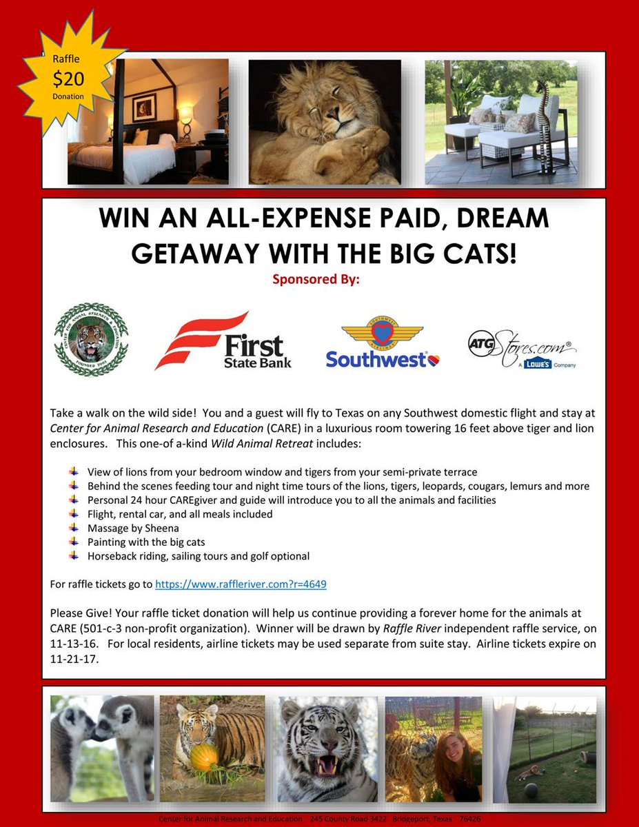 BigCatDerek's tweet photo. Win a plane ticket & a stay at the @carerescuetexas #SafariSuites! (You gotta look at the ugly #teegees though ๐) https://t.co/0Jao9Pg6IZ https://t.co/ADav5rPPnI
