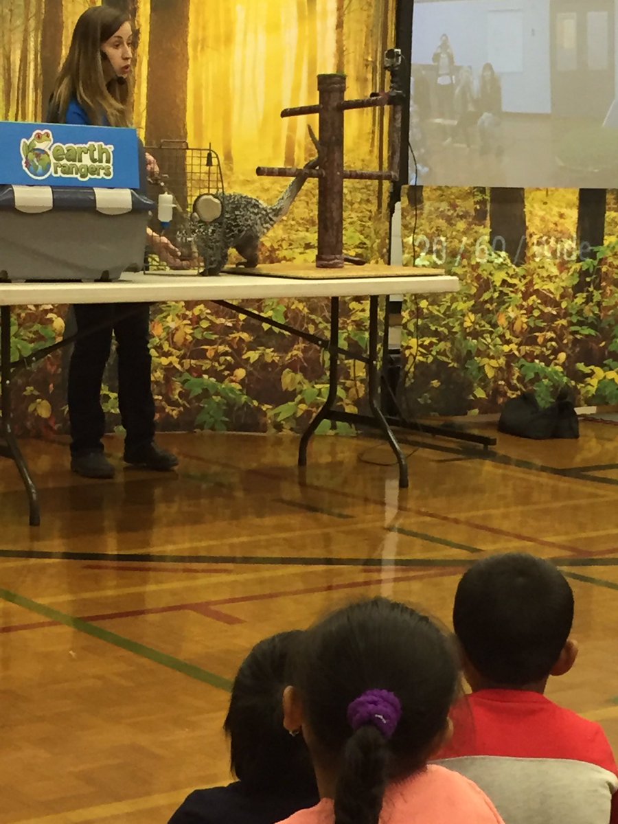 mrsgraber2's tweet photo. Learning how to protect the animals in our environment! @EarthRangers https://t.co/BI92lJChKr