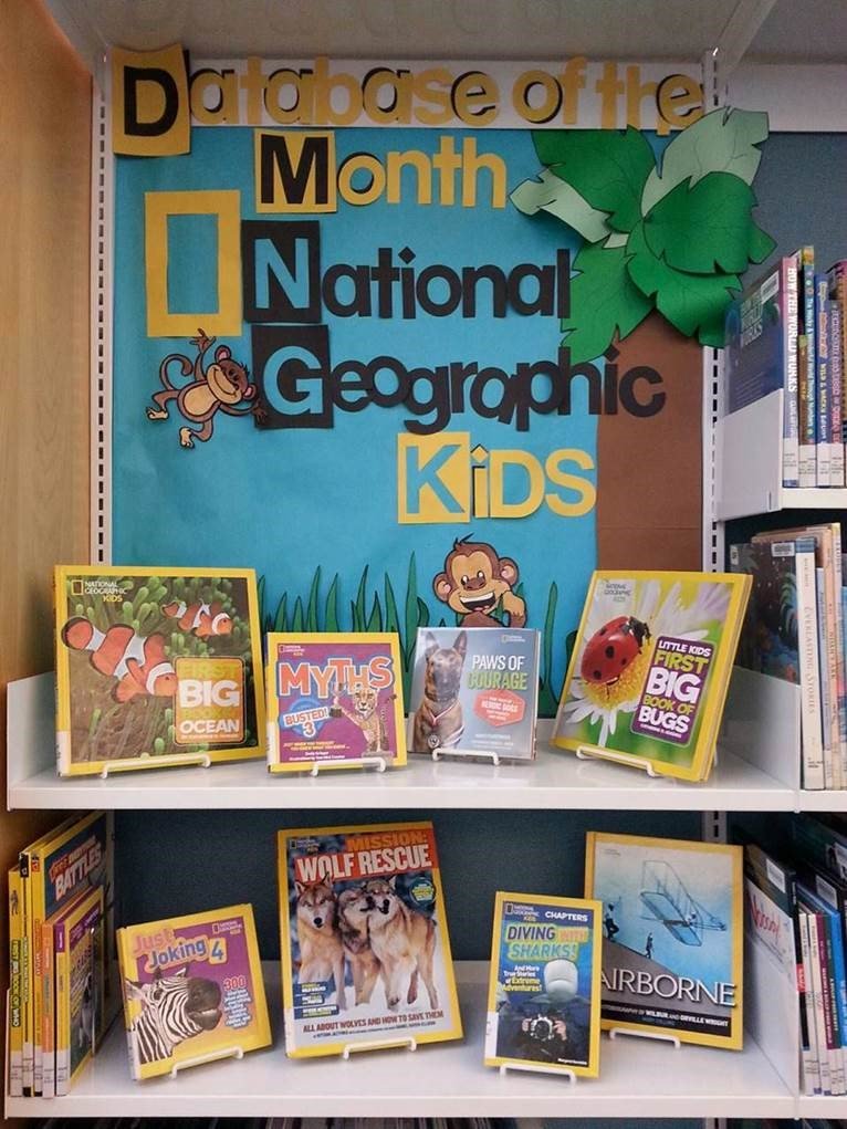 'Check out' this awesome display at PA! #NationalGeographic #kidsresources #nurturecuriosity