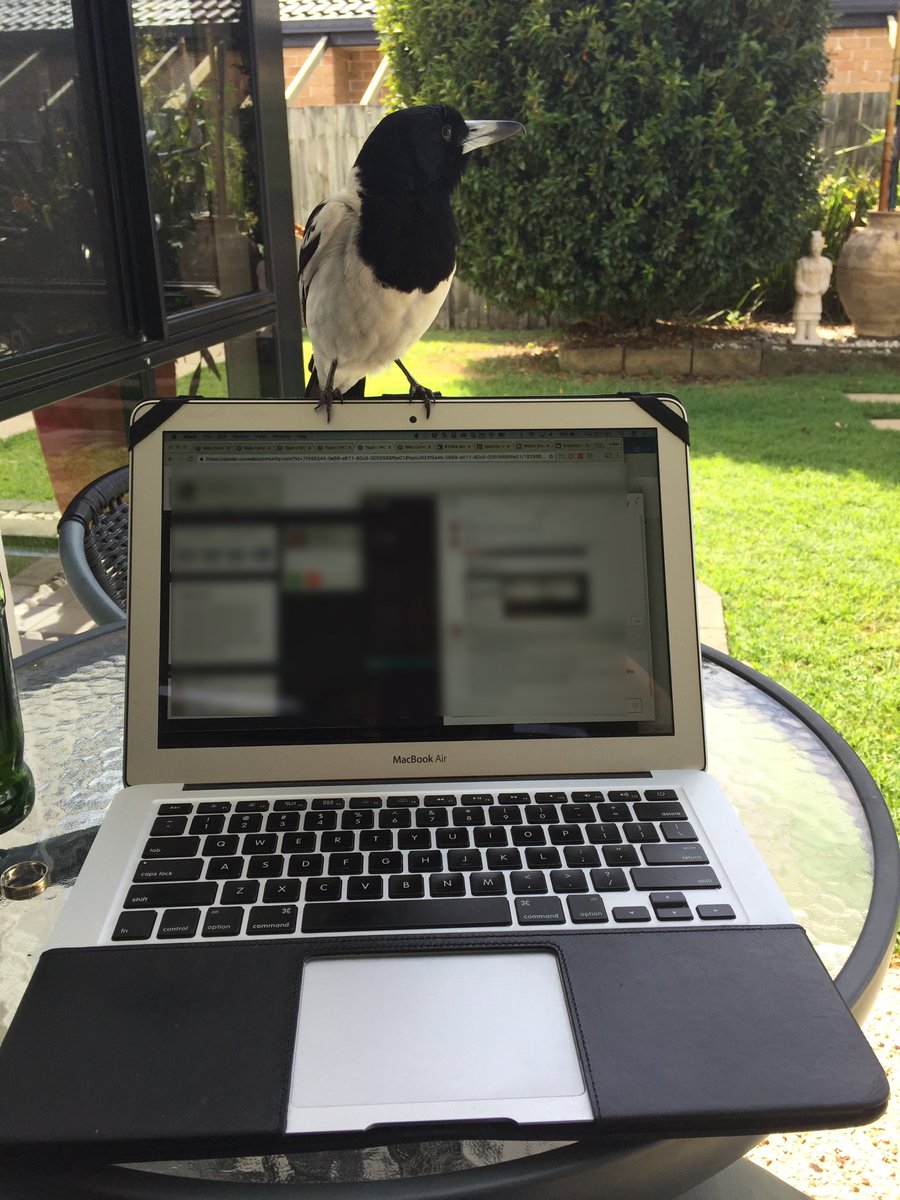 Visitors to the office