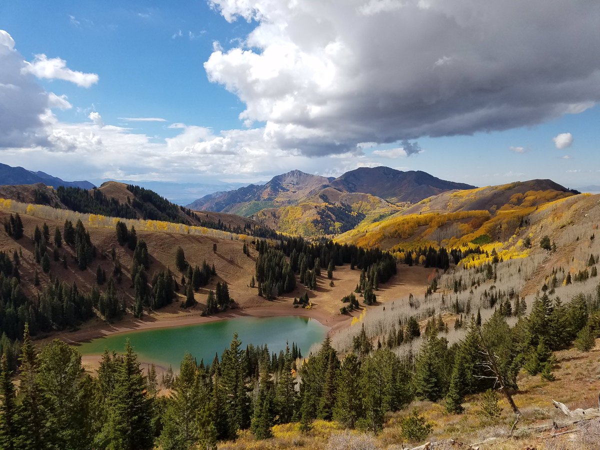 travisaacson's tweet photo. @singletrackscom #WasatchCrest near #SLC #Utah https://t.co/002RpMaJCe