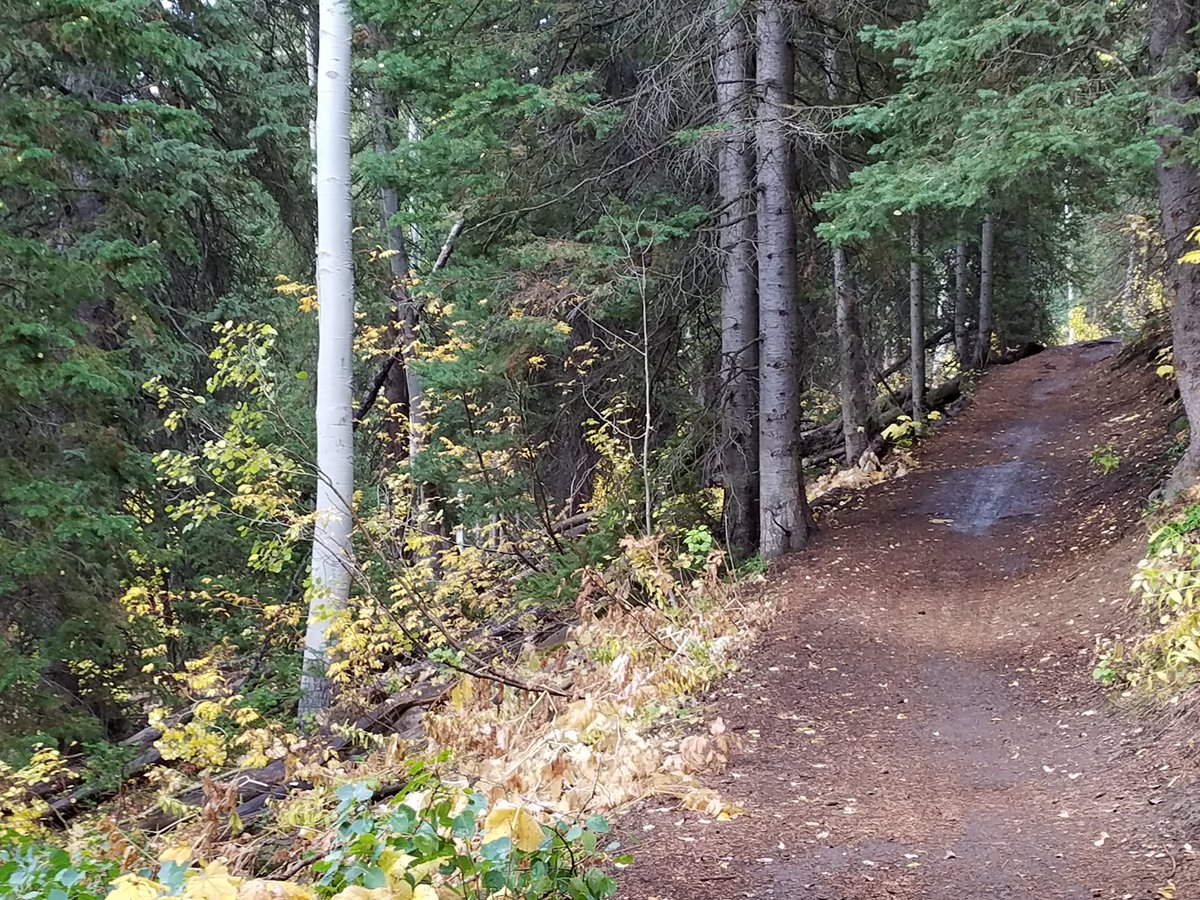 travisaacson's tweet photo. @singletrackscom #WasatchCrest near #SLC #Utah https://t.co/002RpMaJCe
