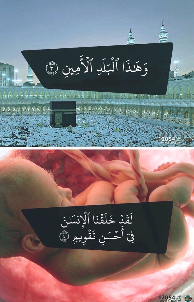 محمد mohamed 🇦🇪 tweet media