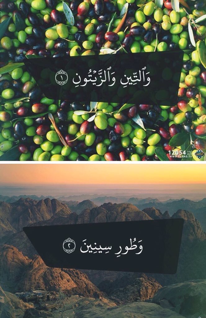 محمد mohamed 🇦🇪 tweet media