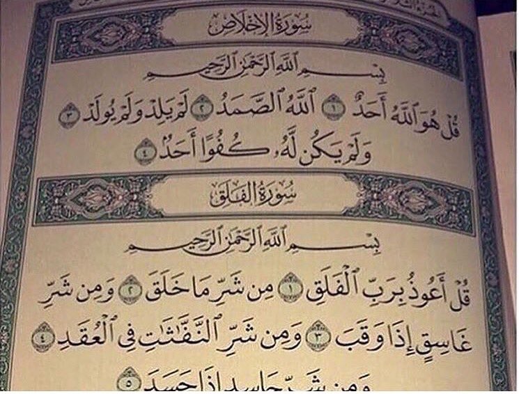 B🕊️ tweet media