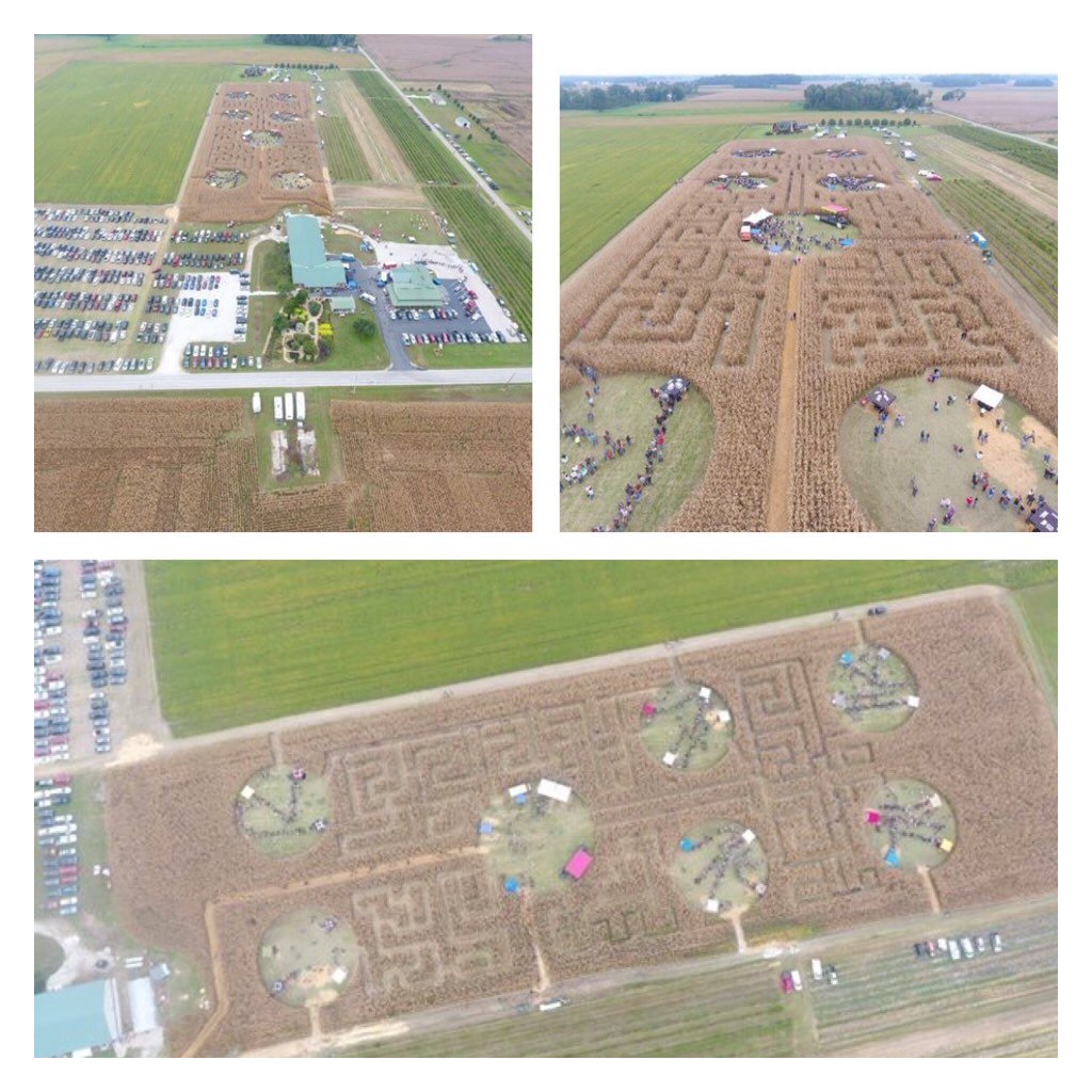 IndianaOnTap.com tweet media