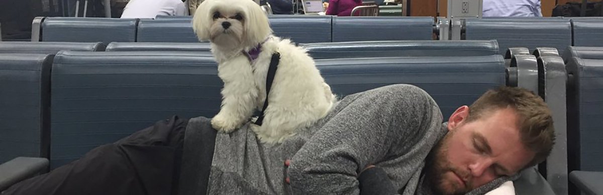 Cut4's tweet photo. How did @DrewStoren spend his first day of the offseason? Napping with his dog: https://t.co/HaDBkbDRKU https://t.co/SQ5cqhQSwu