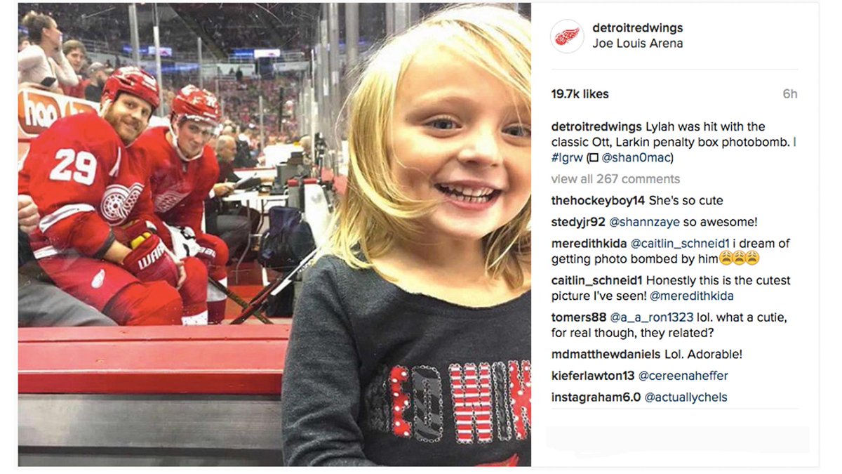 Some pictures are worth a thousand "awwwws". atnhl.com/2dmP5kG