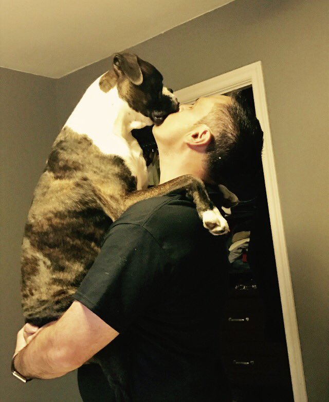 CrueTheBoxer's tweet photo. #BearHug #BoxerDogLife #dogsoftwitter #dogslife @LinzySpina @AnimalLoversHub https://t.co/PBXVl7FNi2