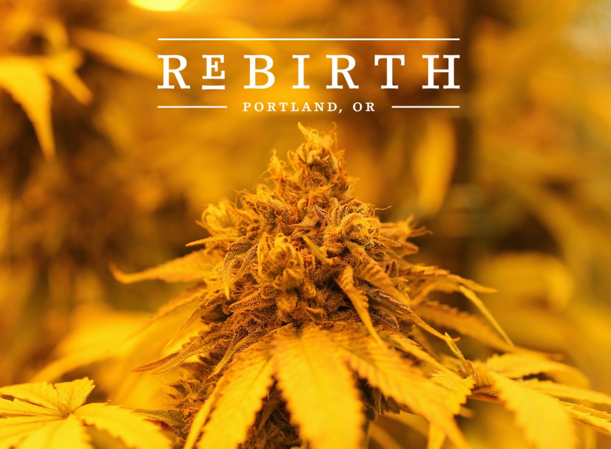 RebirthOregon's tweet photo. #ReBirthOregon #Cannabis #Weed #Smoke #CannabisCommunity https://t.co/HfWmtz5fjl
