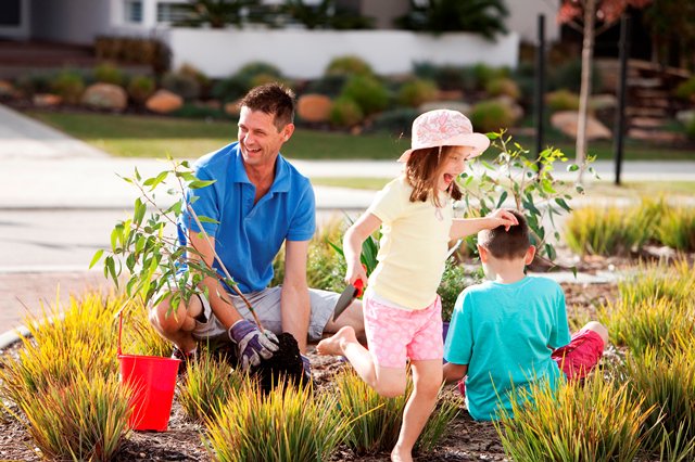 watercorpwa's tweet image. Prepare your #garden for summer by using  mulch, soil improver &amp;amp; wetting agent with #Waterwise Garden Rewards: bit.ly/2dL4Ai2
