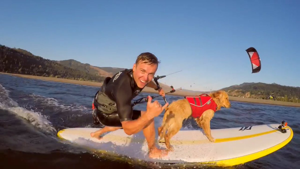 watersportNL's tweet image. Neem jij je huisdier vandaag ook mee het water op? #dierendag  #fanvandewatersport mi8.ly/wg8nd1