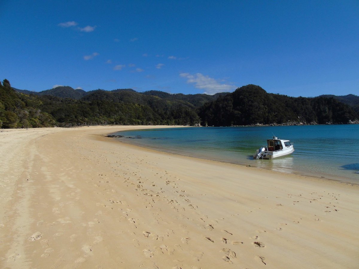 dara_fahy's tweet photo. Another world. Abel Tasman National Park New Zealand. @Tourism_NZ @Travelshake_NZ @TravelPhotosTod @World_Travel_T https://t.co/fvmMK1kmr9
