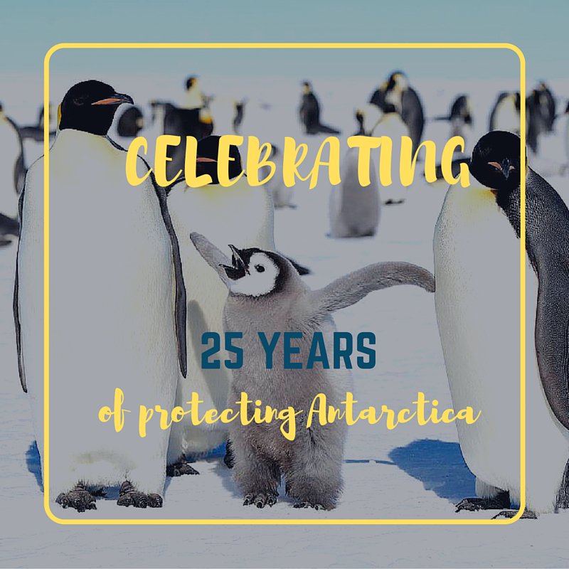 AntarcticOcean's tweet photo. #MadridProtocol milestone reminds us what can be achieved at #CCAMLR35 https://t.co/9huOJKMUR2 @sydneybureau https://t.co/DpjxnpDh9O