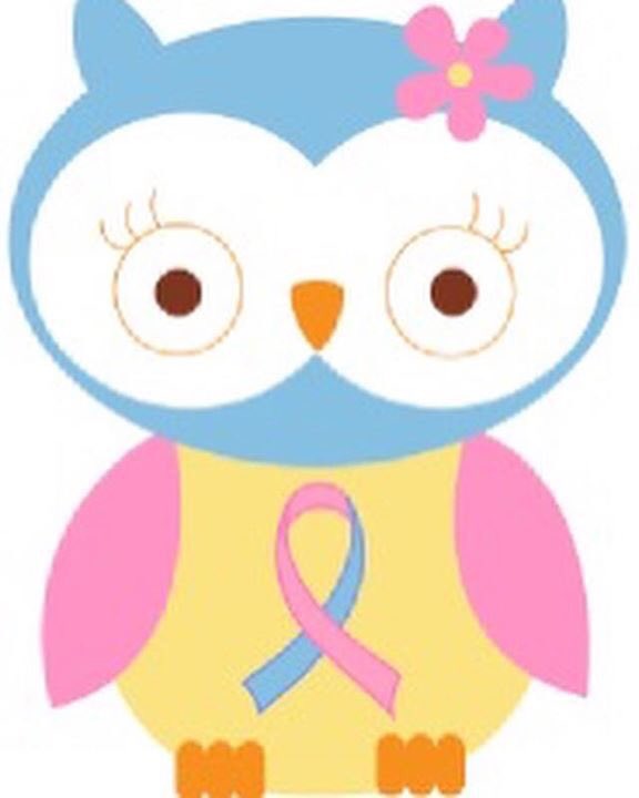 SWSIDS's tweet image. October is SIDS Awareness Month.
Every day, 13 babies will be lost to SIDS &amp;amp; other unexpected infant deaths. #SIDS #awareness #October #SUID