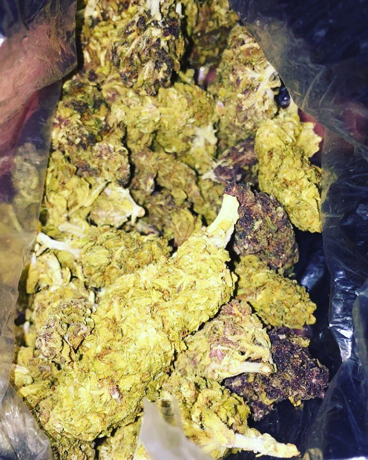 FreeFallFlows's tweet image. Smokin on purp to ease my mind🗣💨😈💸💸
