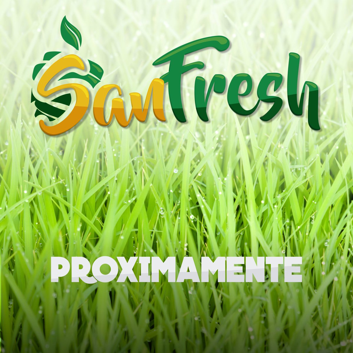 sanfreshco's tweet photo. #Sanfresh #Colombia #Proximamente #ComidaSaludable #fitness https://t.co/mLIVTPxBNh