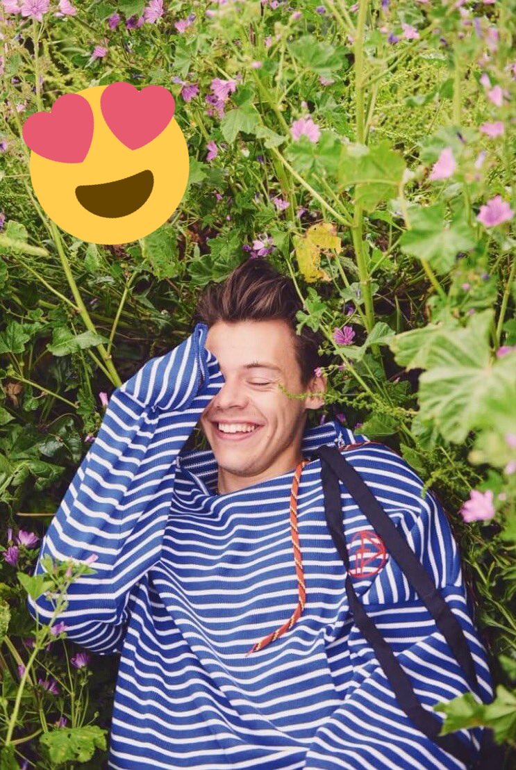 MomobakaR5's tweet photo. このHarryやばい😍😘😝 https://t.co/dqUvFhHwoY