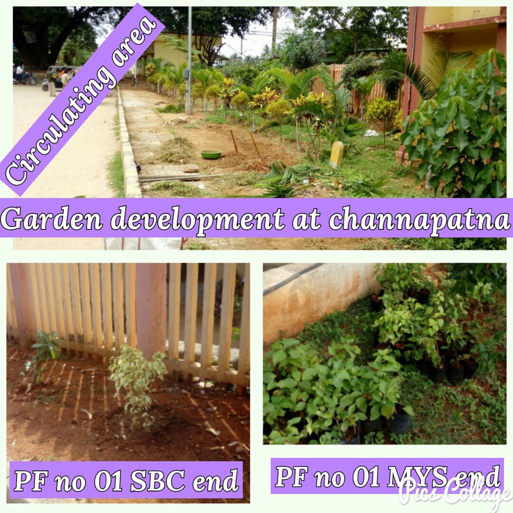 Garden developed in circulating area of Channapatna station