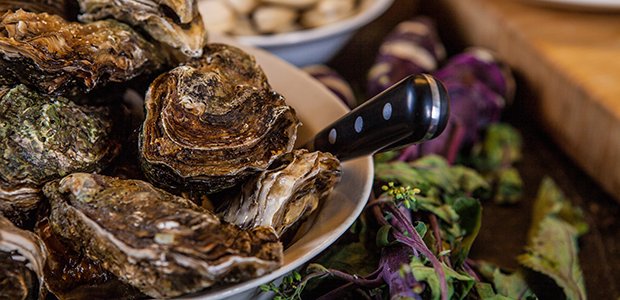 Het oesterseizoen is geopend! Makkelijk te openen met een Diamant Sabatier oesterbreker sabatier.nl