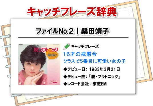 昭和歌謡大好き若人 昭和アイドルにはキャッチコピーがある 松田聖子 抱きしめたいミスソニー 薬師丸ひろ子 ひろ子という字 何度ノートに書いたっけ 山瀬まみ 国民のおもちゃ新発売 ちなみに 08年の ボキャ天 復活特番での藤崎