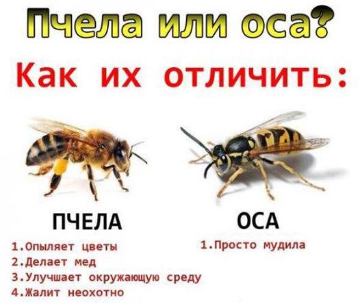 k7216477's tweet image. 