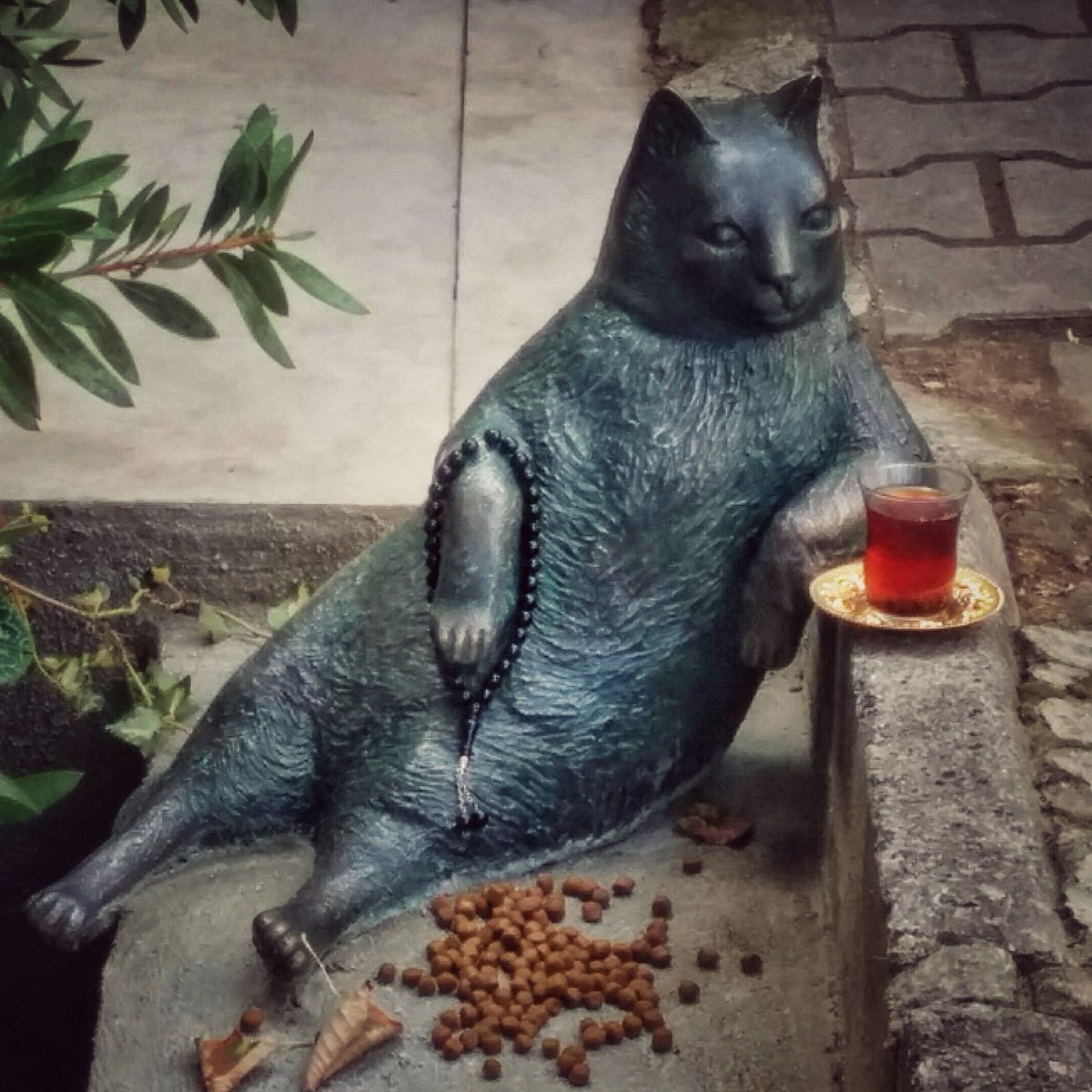 #WorldAnimalDay animals behave like people around them