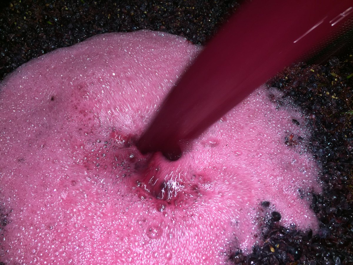 Very beautiful color and great flavor
2016 vintage is superb. LDP
#Charmes-Chambertin
#Dugatpy #Organic