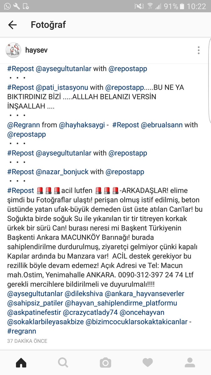 esisemi's tweet image. 