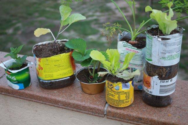 agriurb's tweet photo. Inscriu-te a la #Bicipol·linització https://t.co/n9urOdFLLa #Aplec2016 @horturba @hortPEP @slowfoodbcn #bicicletada #AgriculturaUrbana https://t.co/3GobtVwmq4