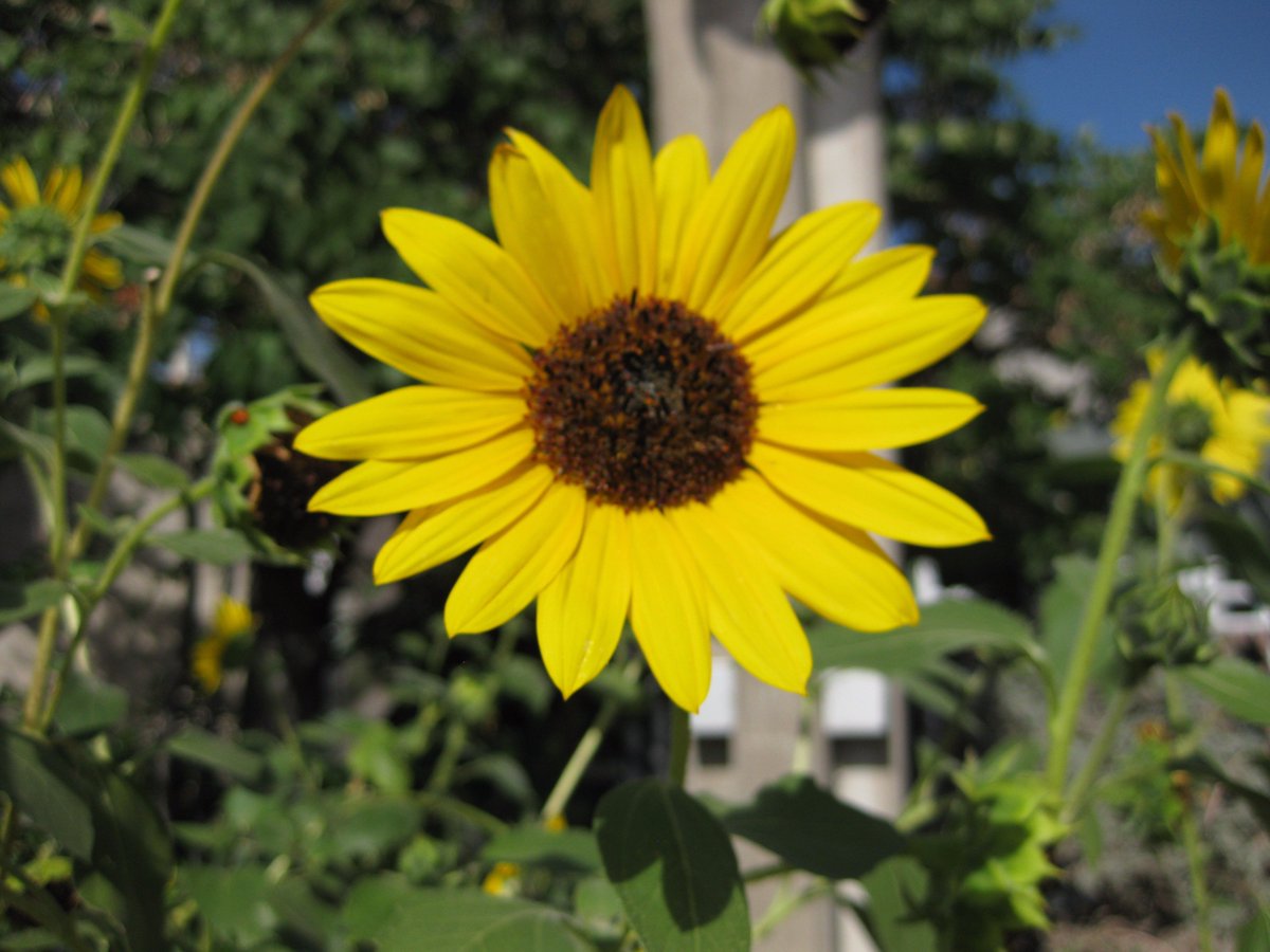 slehan's tweet image. #ByeBuildUp and #ad @Neutrogena