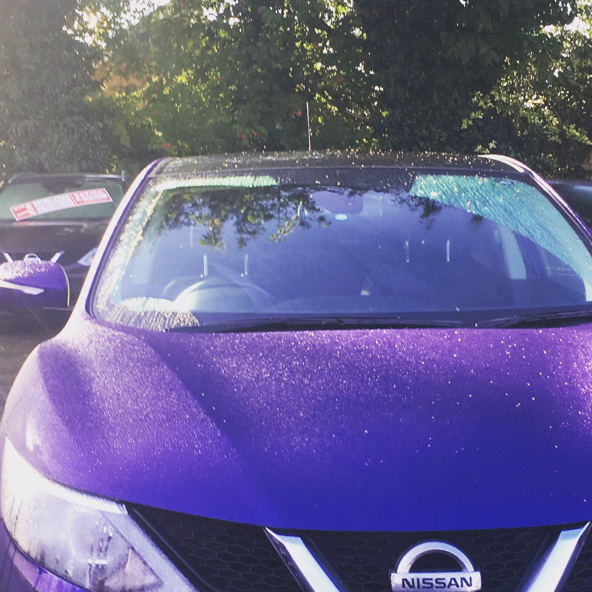 DmkLogistic's tweet photo. Ilkeston to Bradford today #Automotive #tradeplate #vehicledelivery #dmk https://t.co/U7UqNzQqhb