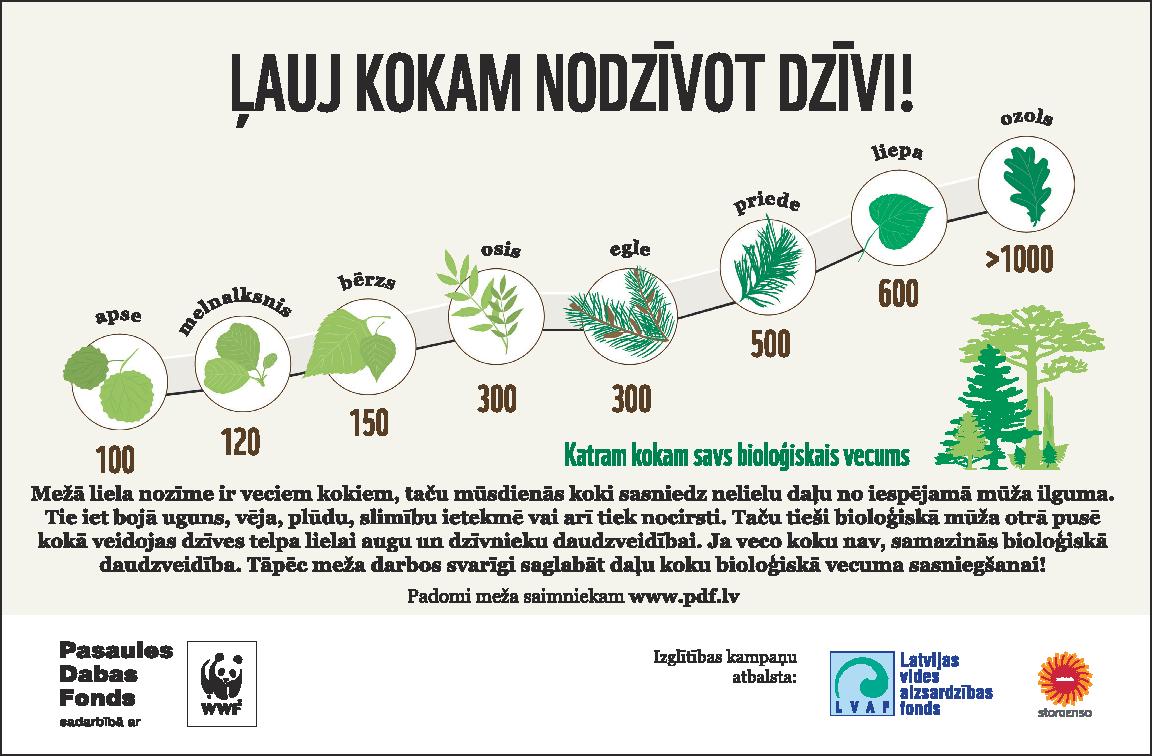 Cik ilgu mūžu var nodzīvot koki? #mežaziņas #koki #mežs #infografiks