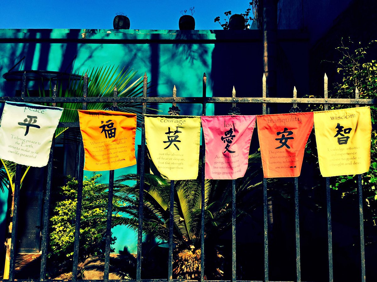 BeOneUp's tweet image. #WalkingLessons #Connecting @BeOneUp