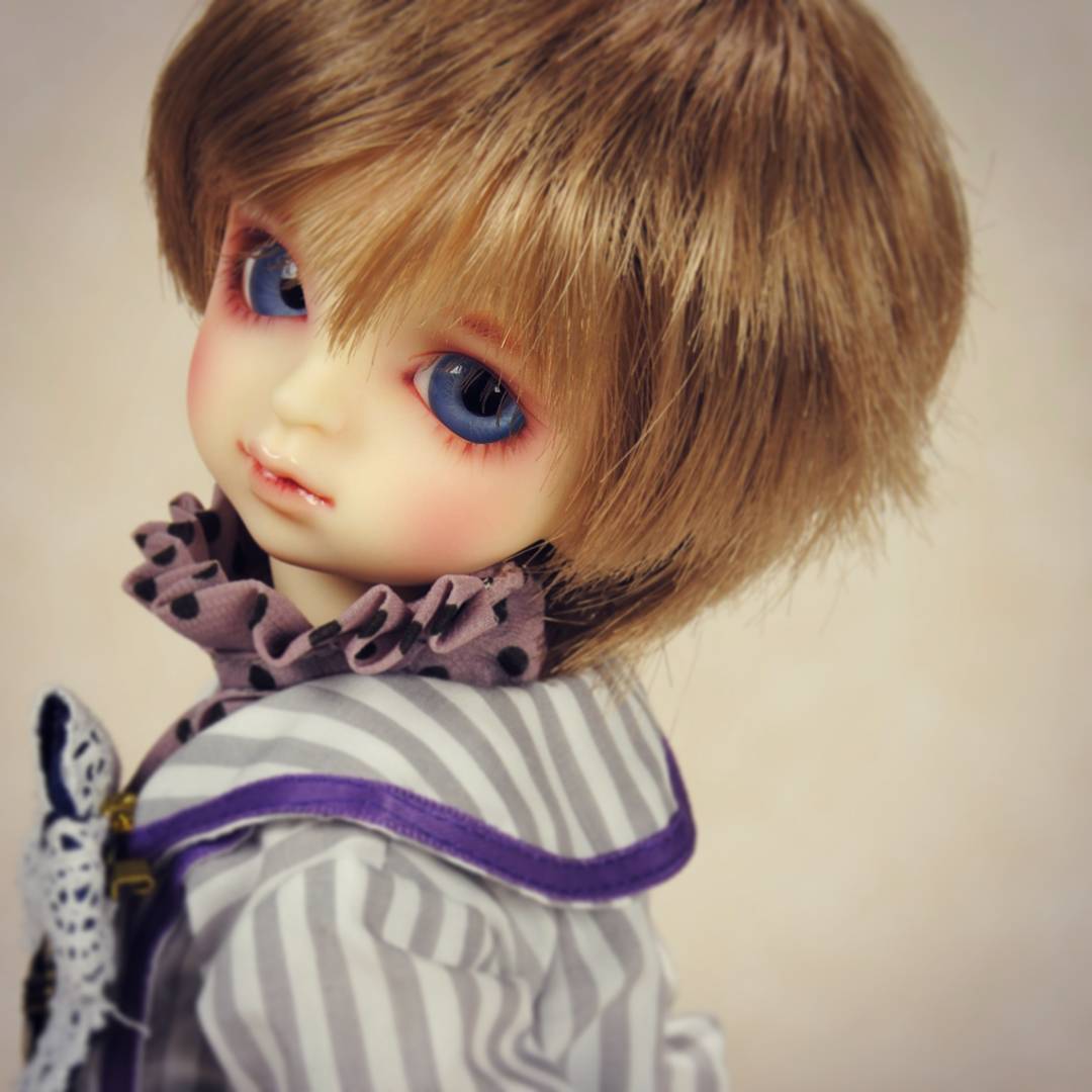 ボークス スーパードルフィー 公式 on X: