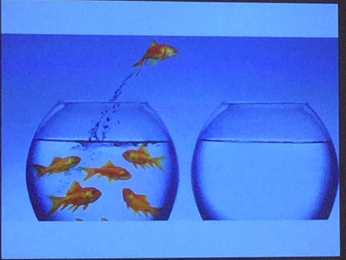 gregorprosen's tweet photo. "Make a leap. Start using #ChestPain #DecisionRule [any!]. And use #SharedDecisionMaking @barbrabackus #EuSEM16 #Vienna 🇦🇹 https://t.co/ekgj17qbIw
