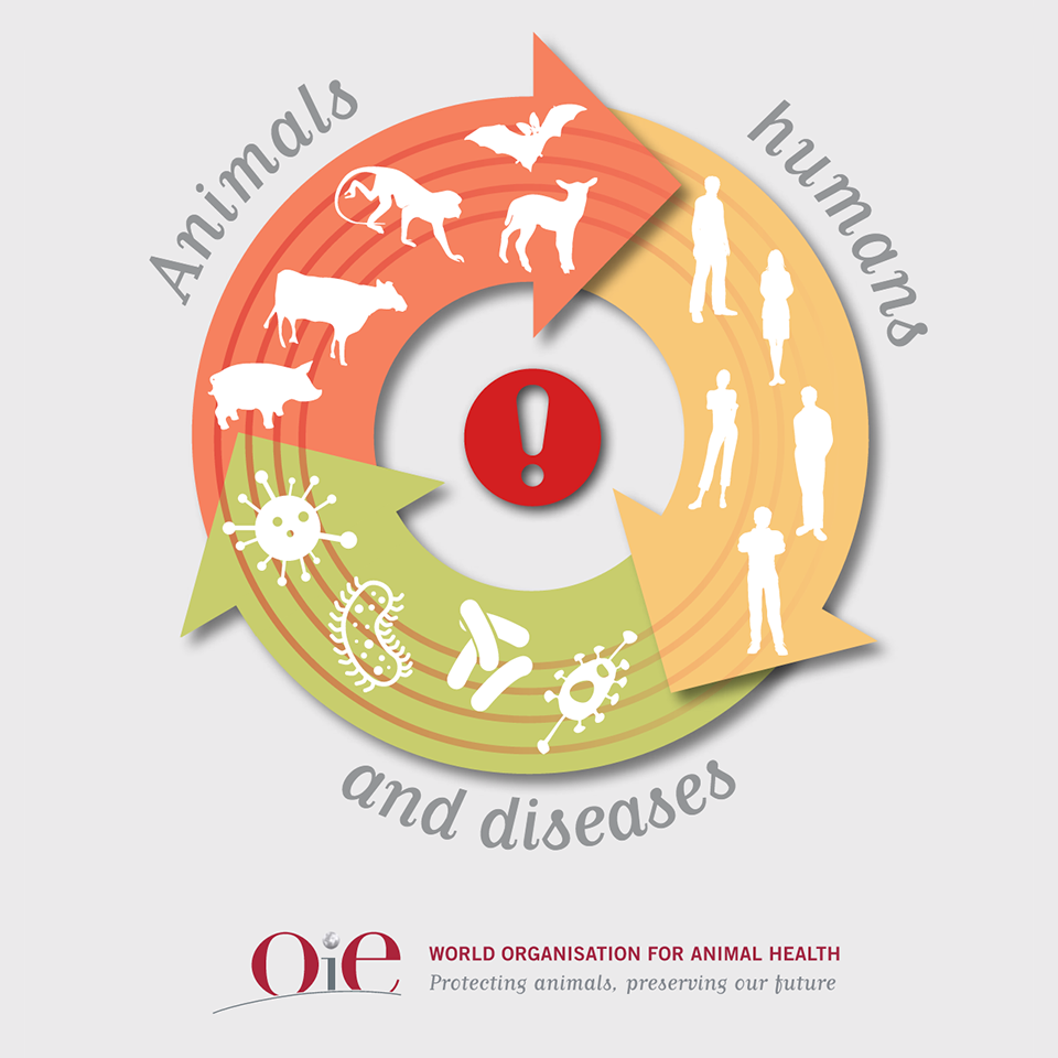 World Organisation for Animal Health on Twitter: World Organisation for Animal Health on Twitter: