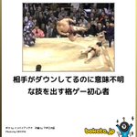 エドモンド本田かよ!相撲というか格ゲーの世界じゃないか!