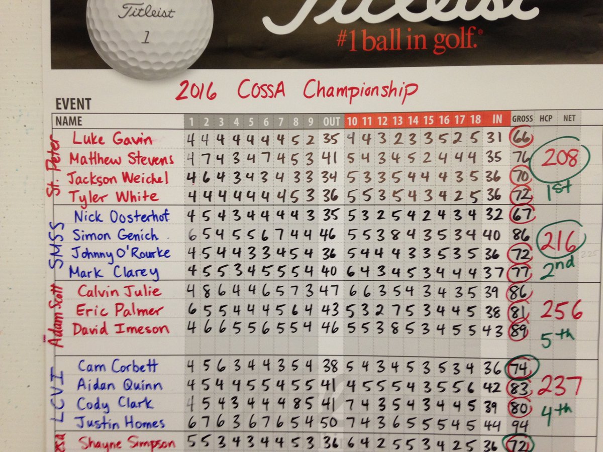 Amazing: St Peter's golfer Luke Gavin made an albatross 2 on the par 5 13th hole yesterday at Lindsay Golf Club during COSSA play.