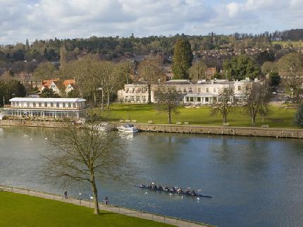 GreenBlueUrban's tweet photo. Looking forward to exhibiting @soilscon @PhyllisCourt tomorrow what a beautiful venue! #UrbanTrees #uncompactedsoil https://t.co/wxGIRQo8zP https://t.co/UTTCU7lCp6