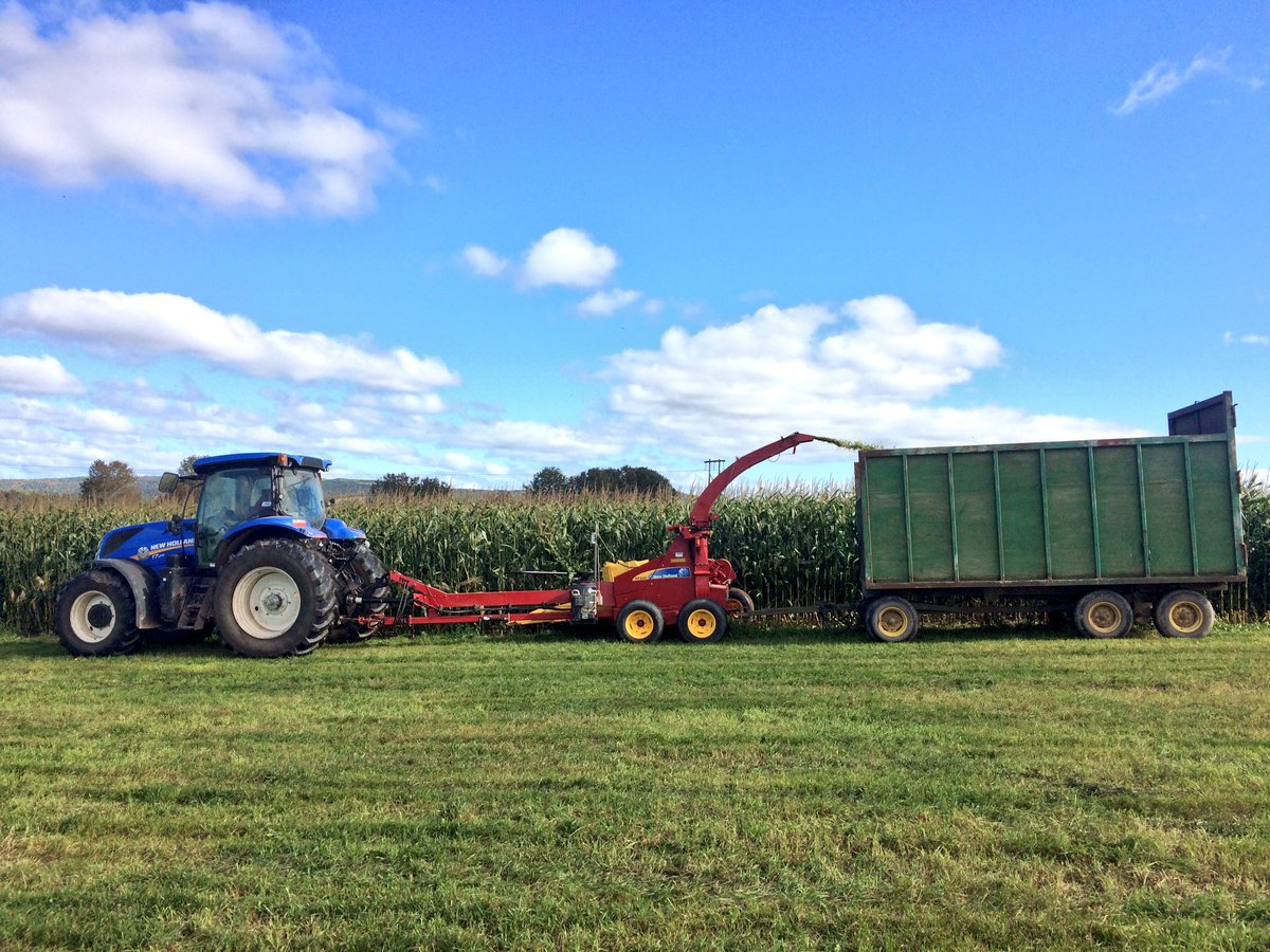 Corn silage is underway at <a href="/Lindenright/">Lindenright</a>!