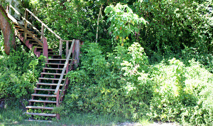 wookwranglers's tweet photo. Visit https://t.co/DvxaWkIYLD for info and #photots on PIneland #Calusa Mounds #LoveFL #NatureMadeAtWalmart #IC #ad #archaelogy https://t.co/cJlbBdYcPc